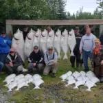 Halibut-Fishing-Charters13