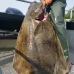Halibut-Fishing-Charters14