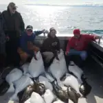 Halibut-Fishing-Charters24