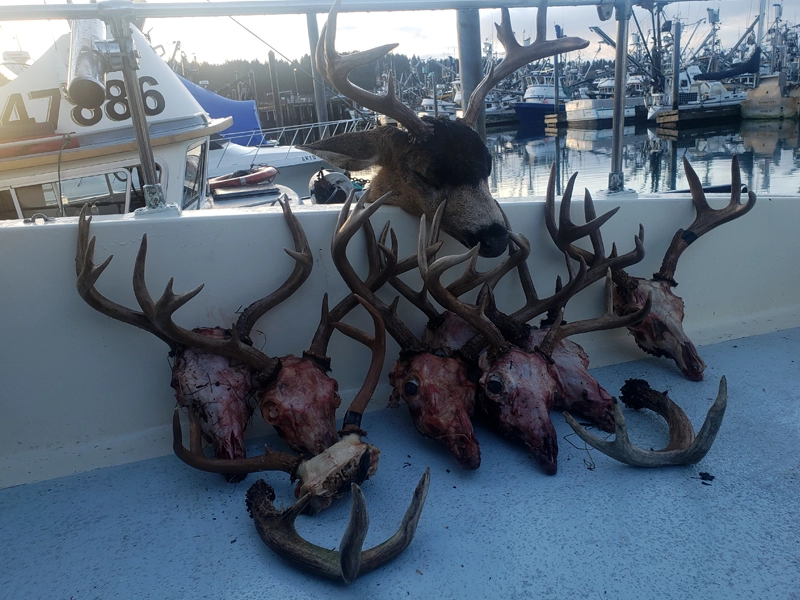 Kodiak Combo Deer Hunting